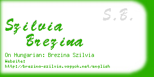 szilvia brezina business card